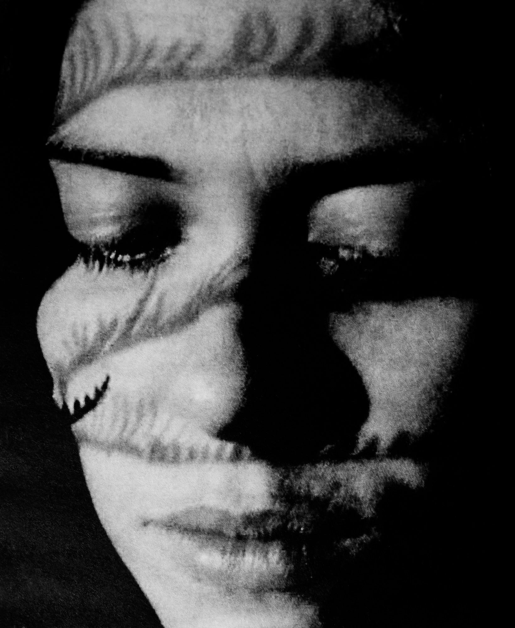 Jack Davison, Family Ikebana – Sixteen World