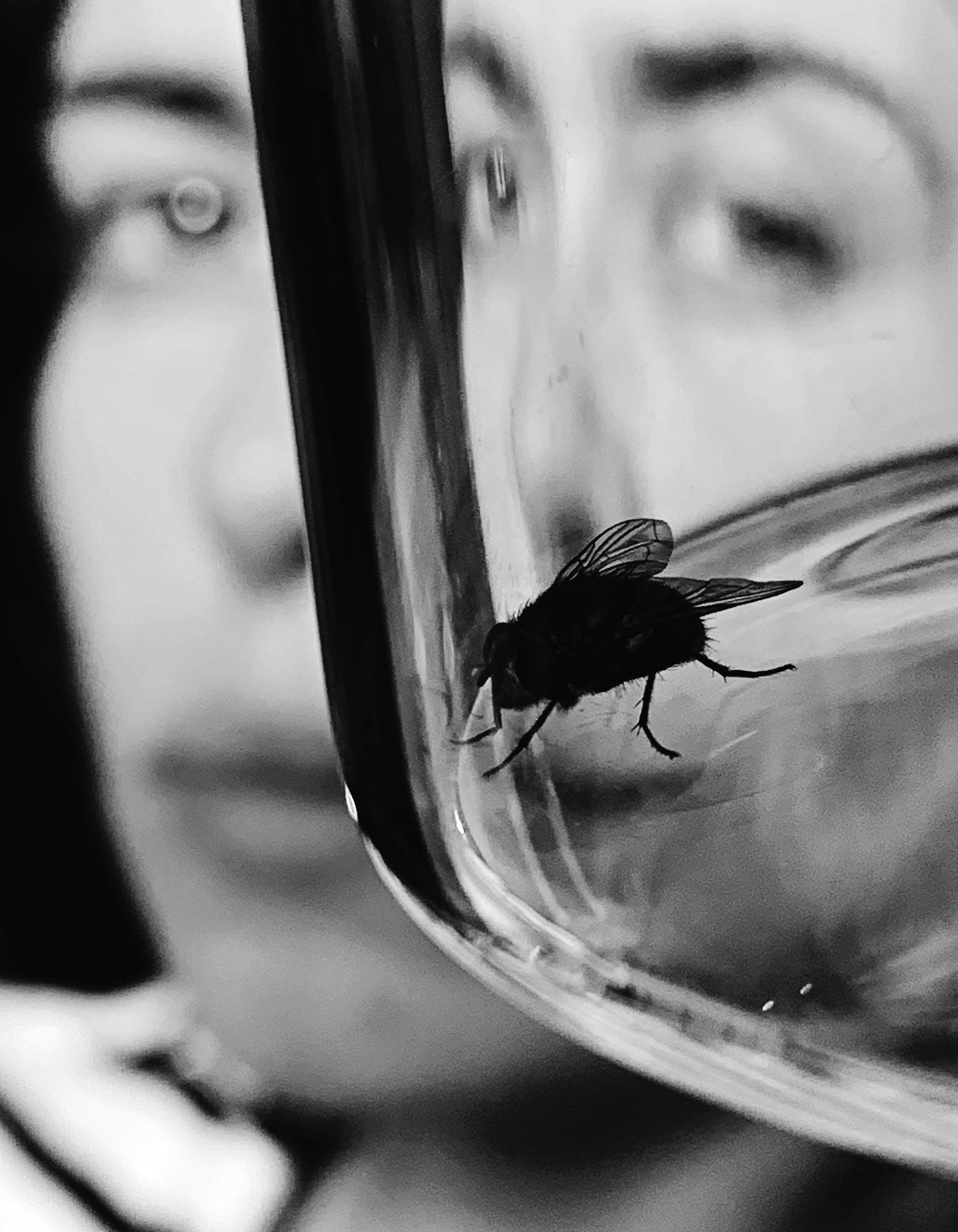 Jack Davison, Lift Every Voices – Sixteen World